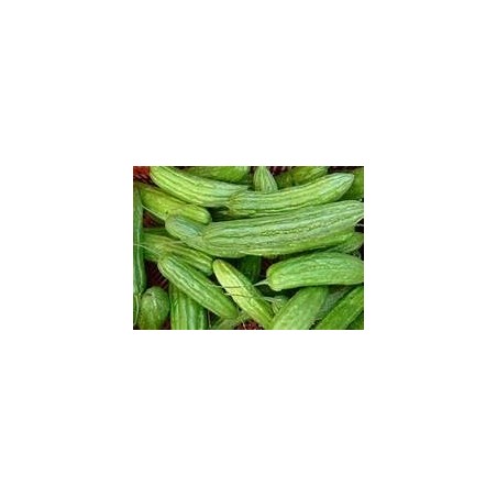 BITTER MELON-LONG