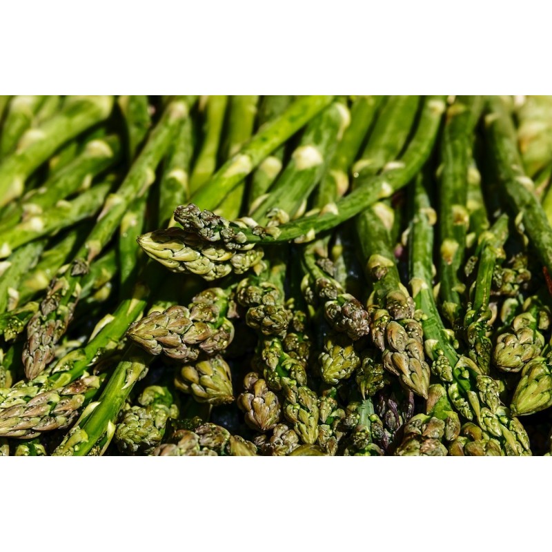 Details about   Argent asparagus 