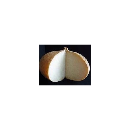 JICAMA - MEXICAN WATER CHESTNUT - YAM BEAN