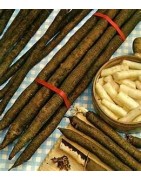 salsify