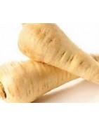 parsnip